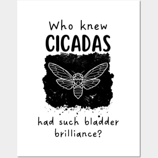 Who Knew Cicadas Had Such Bladder Brilliance ? Posters and Art